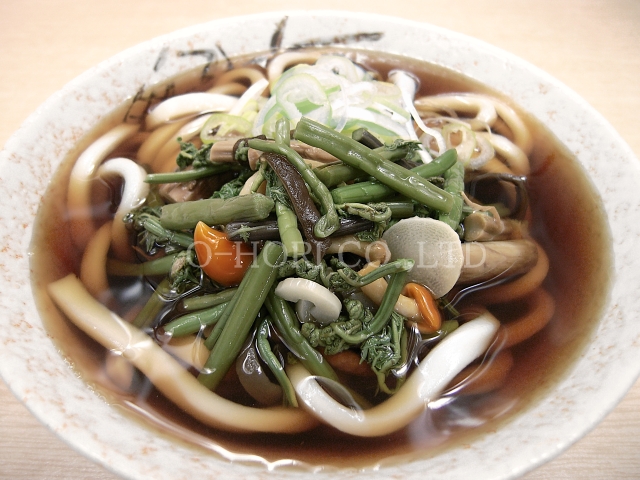 山菜うどん